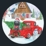 Poodle Dog in Christmas Delivery LKW Schnee Runder Aufkleber<br><div class="desc">Weihnachtsbaum,  der durch den Schnee geht,  ist eine Geschenkidee,  die jeder Hundefreund Liebe bekommt. Wenn Sie Liebe oder besitzen diese Hunderasse,  dann ist es ein großes Geschenk für Ihr Selbst,  Ihre Liebe für Ihr Haustier zu zeigen.</div>