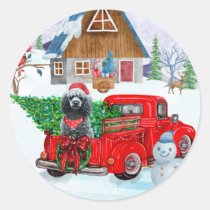 Poodle Dog in Christmas Delivery LKW Schnee Runder Aufkleber