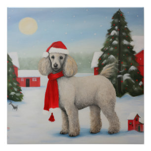 Poodle Dog in Schnee Weihnachten Poster