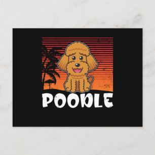 Poodle Dog Poodles Postkarte