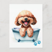 Poodle Dog Postkarte (Vorderseite)