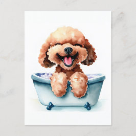 Poodle Dog Postkarte