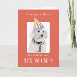 Poodle Dog to Human Birthday Spaß, Orange, Funny Karte