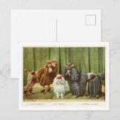 Poodle Dogs Postcard Postkarte (Vorne/Hinten)