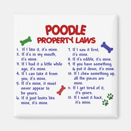 POODLE-Eigenschaftengesetze 2 Magnet (Vorne)