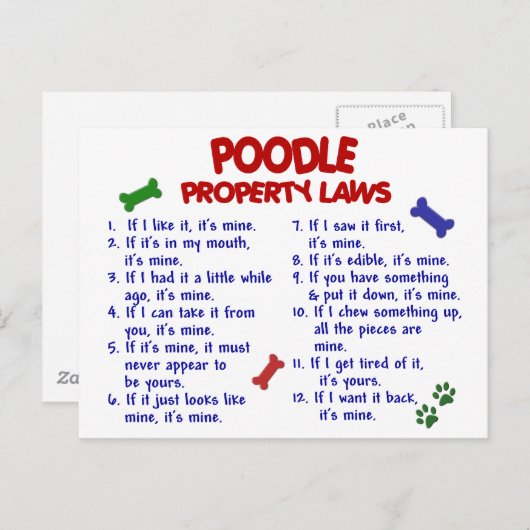 POODLE-Eigenschaftengesetze 2 Postkarte (Vorne/Hinten)