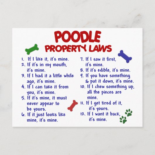POODLE-Eigenschaftengesetze 2 Postkarte (Vorderseite)