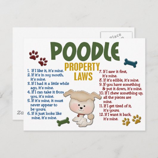 Poodle-Eigenschaftengesetze 4 Postkarte (Vorne/Hinten)