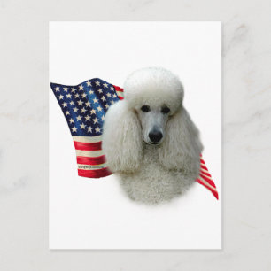 Poodle-Fahne (weiß) Postkarte