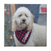 Poodle Fliese (Vorderseite)