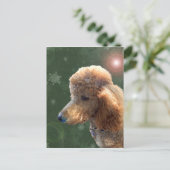 POODLE FÜR DEN URLAUB FEIERTAGSPOSTKARTE (Stehend Vorderseite)