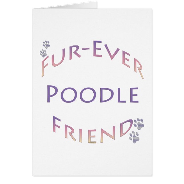 Poodle Furever (Vorne)