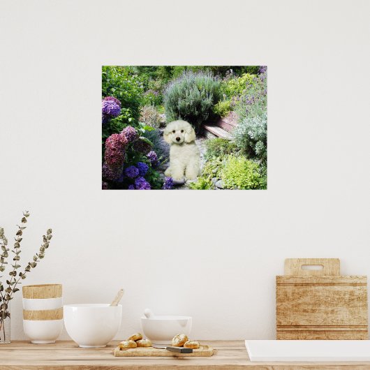 Poodle Garden Print Poster (Küche)