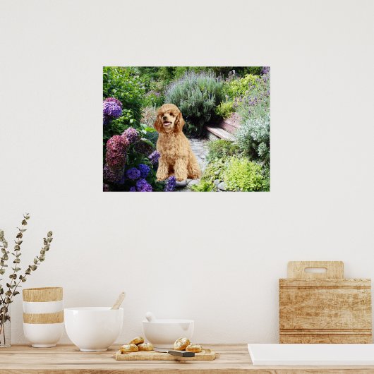 Poodle Garden Print Poster (Küche)