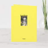 Poodle Geburtstag Karte (Rückseite)