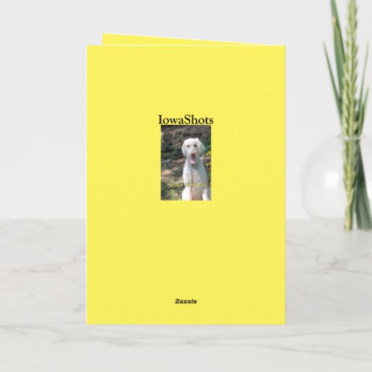 Poodle Geburtstag Karte (Rückseite)