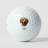 Poodle Golfball (Vorderseite)