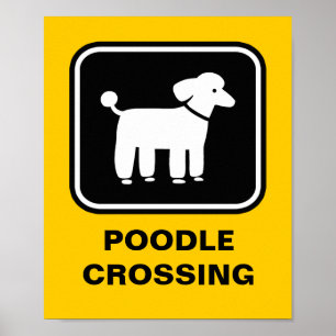 Poodle Graphic (weiß auf schwarz) Poster