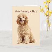 Poodle Grußkarte Karte (Gelbe Blume)
