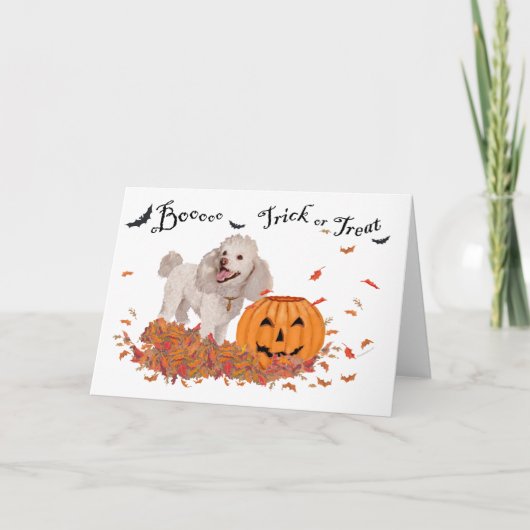 Poodle Halloween Karte (Vorderseite)