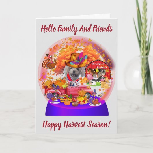 Poodle Harvest Erntedank Saison Grußkarte Karte (Vorderseite)