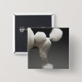 Poodle-Haunches auf grauem Hintergrund Button (Vorne & Hinten)