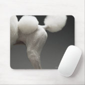 Poodle-Haunches auf grauem Hintergrund Mousepad (Mit Mouse)