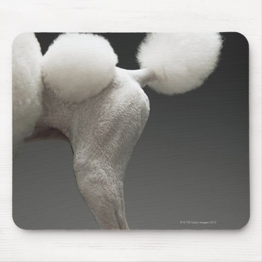 Poodle-Haunches auf grauem Hintergrund Mousepad (Vorne)