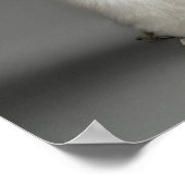Poodle-Haunches auf grauem Hintergrund Poster (Ecke)