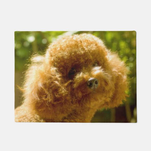 Poodle Hund. Fußmatte (Vorderseite)