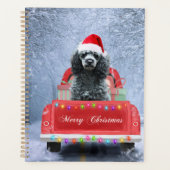 Poodle Hund im Schnee sitzend im Weihnachtswagen Planer (Vorderseite)