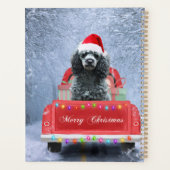 Poodle Hund im Schnee sitzend im Weihnachtswagen Planer (Rückseite)