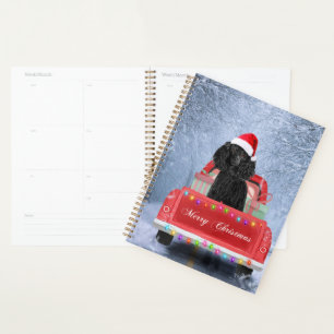 Poodle Hund im Schnee sitzend im Weihnachtswagen Planer
