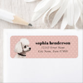 Poodle Hund Rücksendeadresse (Insitu)