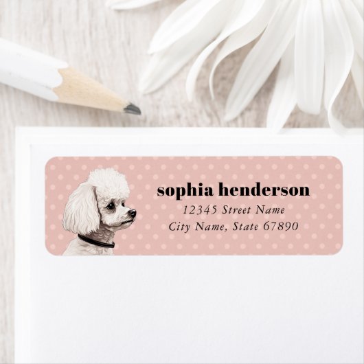 Poodle Hund Rücksendeadresse (Insitu)