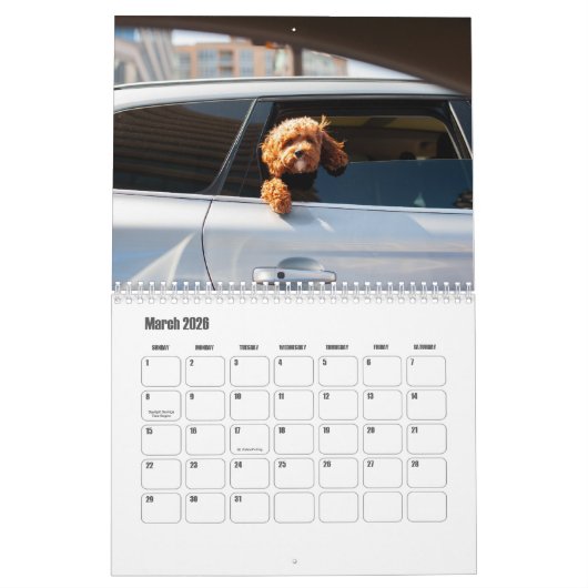 Poodle-Kalender Kalender (Mär 2026)