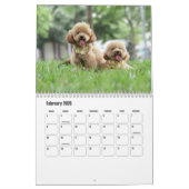 Poodle-Kalender Kalender (Feb 2026)