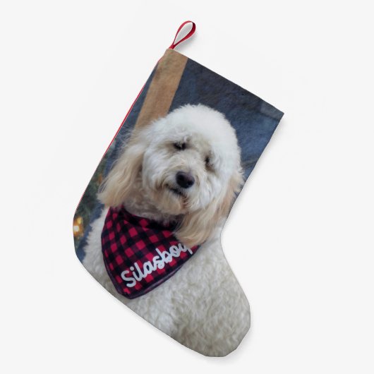 Poodle Kleiner Weihnachtsstrumpf (Vorderansicht (hängend))