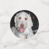 Poodle Konfetti (Klein Vorderseite)