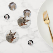 Poodle Konfetti (Gruppe)