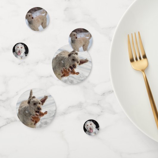 Poodle Konfetti (Gruppe)