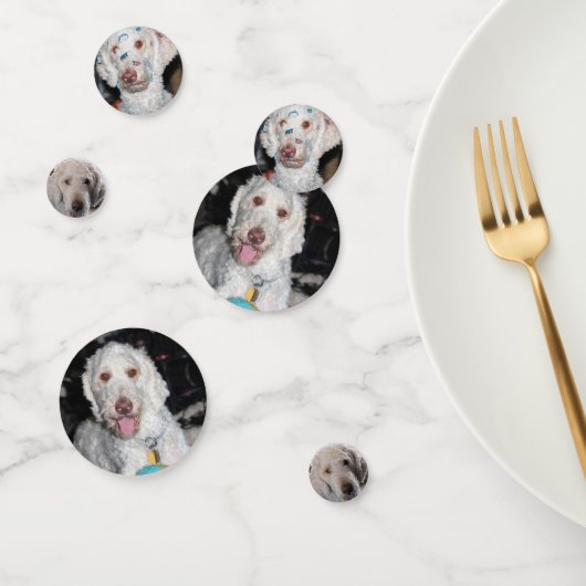 Poodle Konfetti (Gruppe)