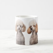 Poodle liebt die Tasse (Mittel)