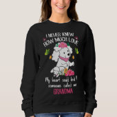 POODLE LOVER SWEATSHIRT (Vorderseite)