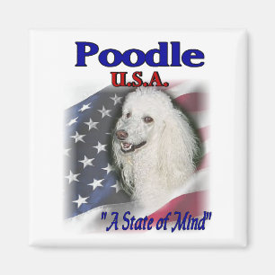 Poodle Lovers Geschenke Magnet