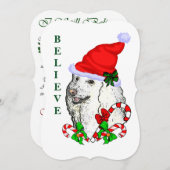 Poodle Lovers Weihnachten (Vorne/Hinten)