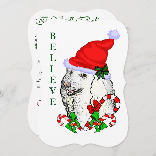 Poodle Lovers Weihnachten (Vorne/Hinten)