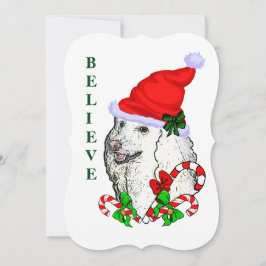 Poodle Lovers Weihnachten