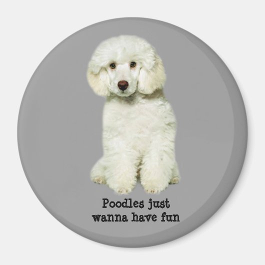 Poodle Magnet (Vorne)