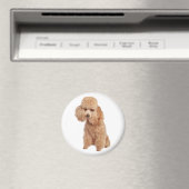 Poodle Magnet (In Situ (Geschirrspüler))